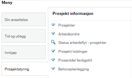 Skjermbilde av menyen for prosjektinformasjon